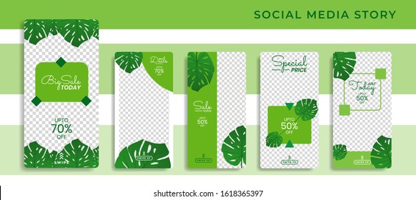 Banners Bundle Kit Set of Social Media Story Instagram, Facebook, Monstera Green Trendy. Poster, Flyer, Coupon, Layout Composision Golden, Smartphone Templates Geometric Sale Banner Background eps 10