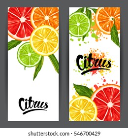 Banners with citrus fruits slices. Mix of lemon lime grapefruit and orange.