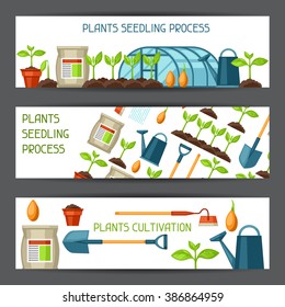 Banners for cultivation, plants seedling process, stage plant growth, fertilizers and greenhouse.