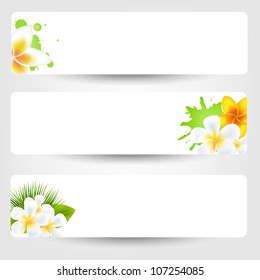 Banners With Flowers Frangipani, Isolated On Grey, Vector Illustration