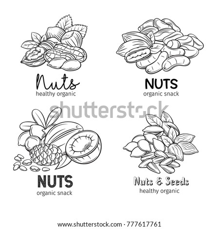 Banners with hand drawn nuts and seeds. Pistachio, cashew, coconut, hazelnut and macadamia. Cola nut, pumpkin seed, peanut and sunflower seeds. Vector illustration in sketch retro style.
