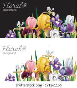 Banners with Iris flowers