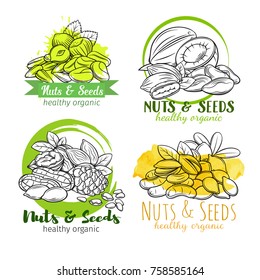 Banners or labels with hand drawn nuts and seeds. Cola nut, pumpkin seed, peanut and sunflower seeds. Pistachio, cashew, coconut, hazelnut and macadamia. Vector illustration in sketch retro style.