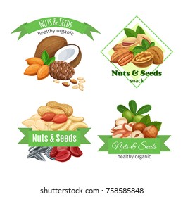 Banners or labels with nuts and seeds. Cola nut, pumpkin seed, peanut and sunflower seeds. Pistachio, cashew, coconut, hazelnut and macadamia. Vector illustration.