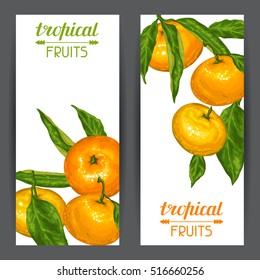 Banners with mandarins. Tropical fruits and leaves.