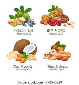 Banners with nuts and seeds. Cola nut, pumpkin seed, peanut and sunflower seeds. Pistachio, cashew, coconut, hazelnut and macadamia. Vector illustration.