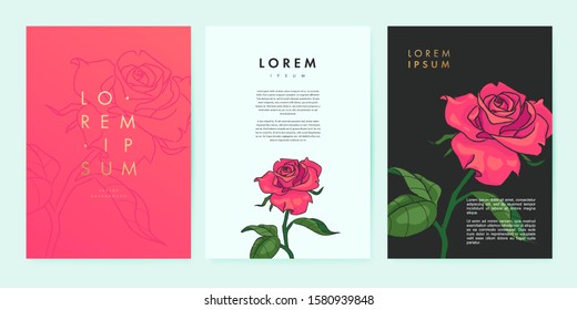 Banners set for inspiration card, poster, cover, leaflet, print, mobile app. Colorful background with hand drawn flower. Vector illustration of red rose. Eps 10