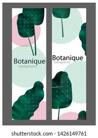 Banners with tropical leaves and circles with patterns. Vector illustration