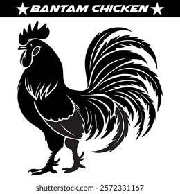 Bantam Chicken Silhouette  Vector Illustration