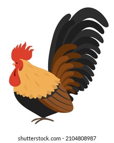 Bantam chicken vector illustration, Bantam chicken design