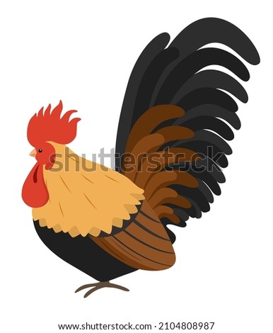 Bantam chicken vector illustration, Bantam chicken design