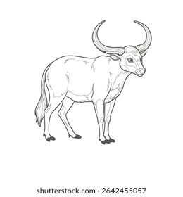 Banteng - Bos javanicus. Búfalo robusto com grandes chifres curvos em pé em terreno aberto. Conceito de vida selvagem e natureza