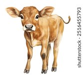 banteng watercolor clipart illustration isolated