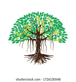 Ilustración vectorial del icono del árbol de Banyan, aislada en fondo blanco.