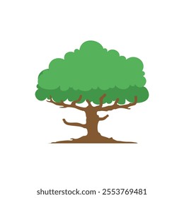 Banyan tree illustration design vector