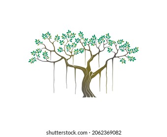 banyan tree image vector isolated on white