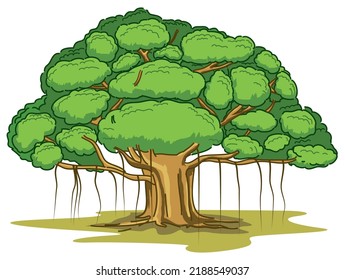 Banyan Tree Line Art Color Isolated Stock Vector (Royalty Free ...