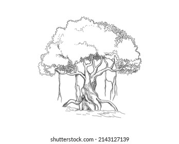 banyan tree line art hand drawing style. vector isolated. svg