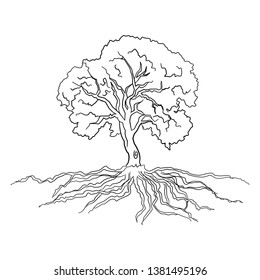 Banyan Tree Line Art On White Stock Vector (Royalty Free) 1381495196