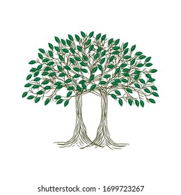 Banyan tree logo design template. tree silhouette vector isolated on white background.