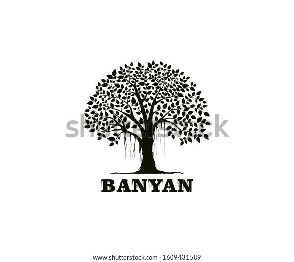Banyan tree logo design template. tree\
silhouette vector isolated on white\
background.