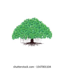 banyan tree with root vector. forest symbol icon