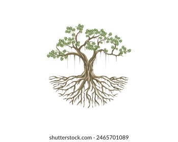 banyan tree and roots vector illustration