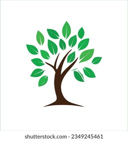 A banyan tree is a type of fig tree that has a unique way of growing. It can produce aerial roots from its branches that hang down and take root in the soil, forming new trunks. This allows the banyan