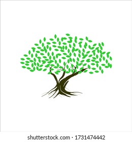 Banyan tree vector illustration eps 10