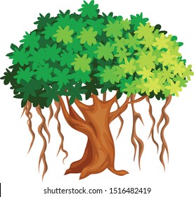 Banyan tree, vector illustration, isolated background