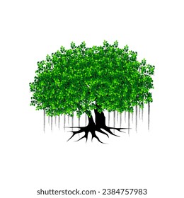 Banyan Tree vector illustration isolated on white background