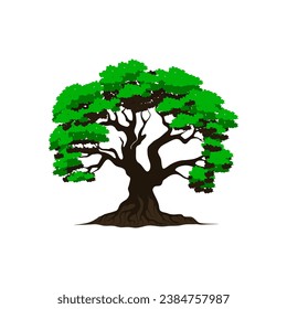Banyan Tree vector illustration isolated on white background