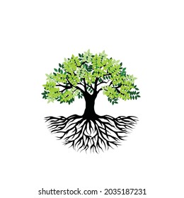 banyan tree vector illustration, tree with leaves and roots