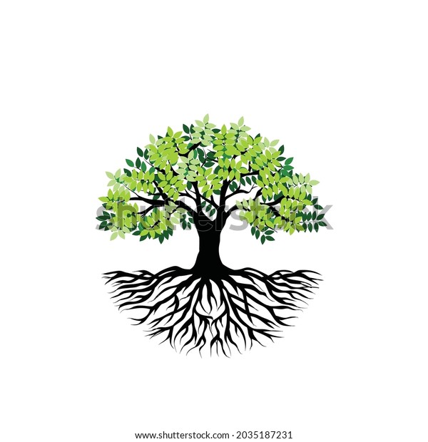 Banyan Tree Vector Illustration Tree Leaves Stock Vector (Royalty Free ...