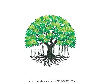 banyan tree vector illustration. tree logo in circular shaped.