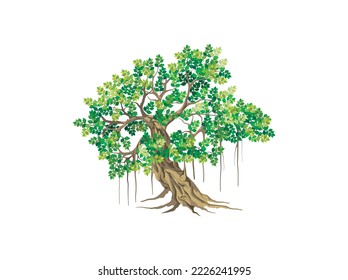 banyan tree vector illustration, logo tree template