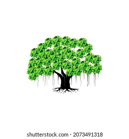 Banyan tree vector illustration. roots of banyan tree.