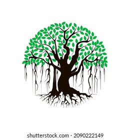 Banyan tree vector illustration. roots of banyan tree.