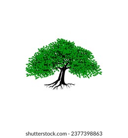 Árbol de Banyan. Ilustración vectorial de árbol de Banyan. raíces de banyan tree.