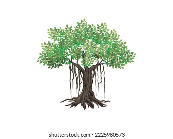 Banyan Baum Vektorgrafiken, handgezeichnete Kunst einzeln auf Weiß.