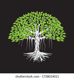 Banyan tree vector isolated on black. forest symbol.