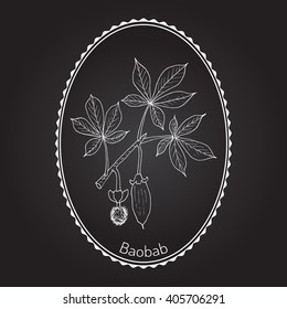 Baobab (Adansonia digitata), or dead-rat tree, monkey-bread tree, upside-down, cream of tartar tree. Hand drawn botanical vector illustration.
