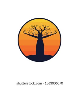 baobab african typical desert tree in the afternoon yellow sun ray vector logo design template