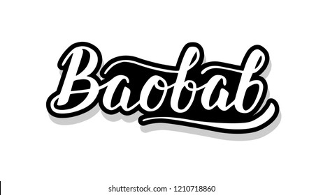 Baobab calligraphy template text for your design illustration concept. Handwritten lettering title vector words on white isolated 