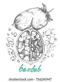 Baobab fruit from Adansonia tree in Africa, Popular super food 