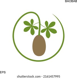 Logo de Baobab. Frutos de baobab aislados sobre fondo blanco