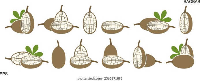 Logo de Baobab. Frutos de baobab aislados sobre fondo blanco