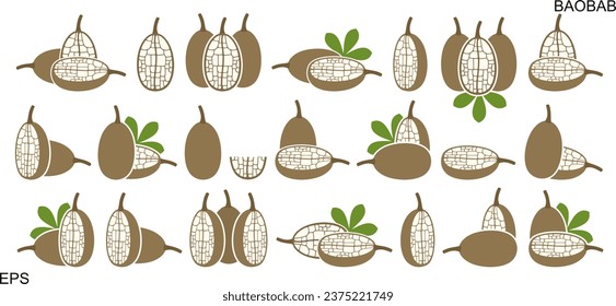 Baobab fruit logo. Isolated baobab fruit on white background