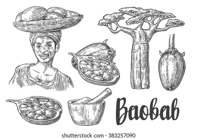 Baobab fruit, tree and seeds. Mortar and pestle. African woman carries a basket on her head. Vector vintage engraved illustration isolated on white background.