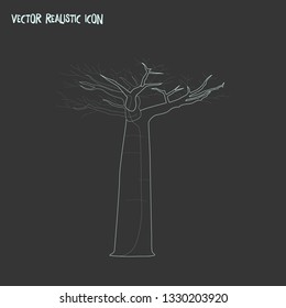 Baobab icon line element. Vector illustration of baobab icon line isolated on clean background for your web mobile app logo design.